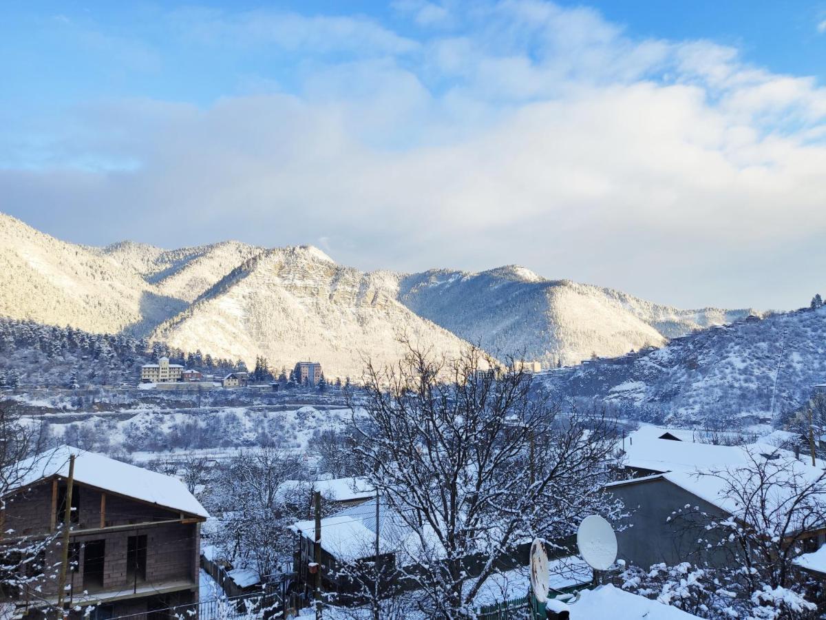 Akaki'S Guesthouse Borjomi ภายนอก รูปภาพ