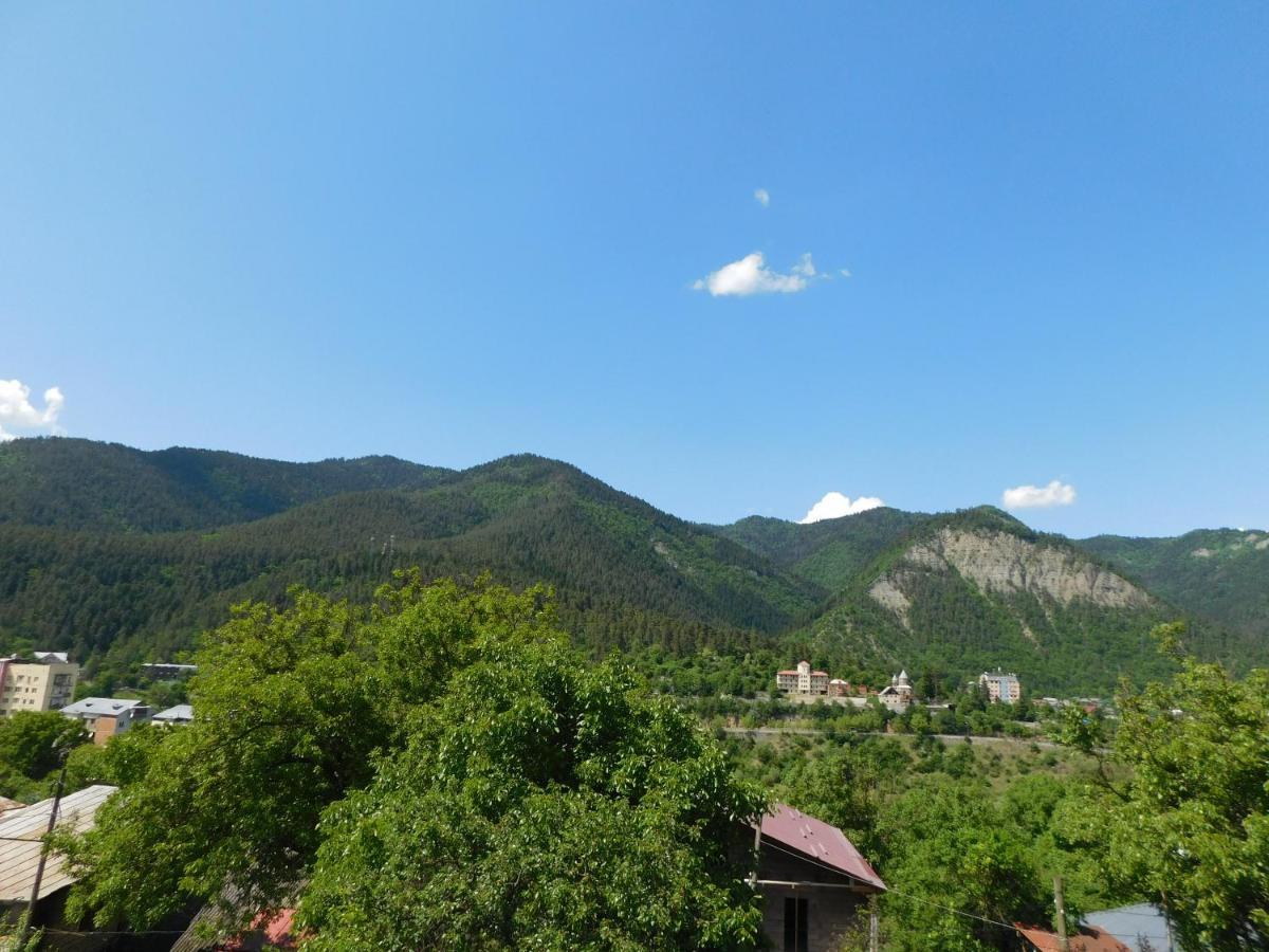 Akaki'S Guesthouse Borjomi ภายนอก รูปภาพ