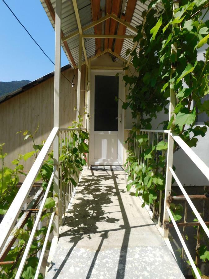 Akaki'S Guesthouse Borjomi ภายนอก รูปภาพ