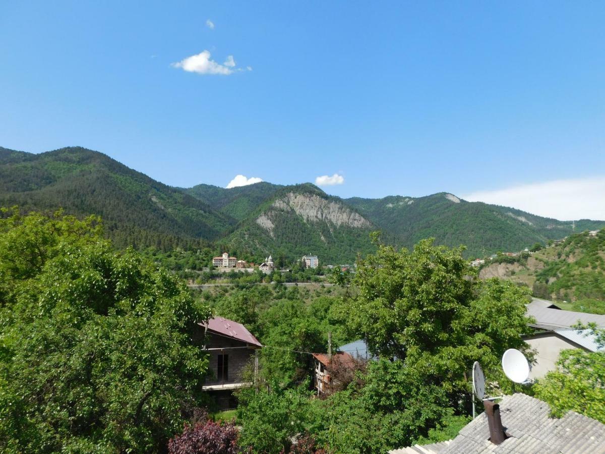 Akaki'S Guesthouse Borjomi ภายนอก รูปภาพ